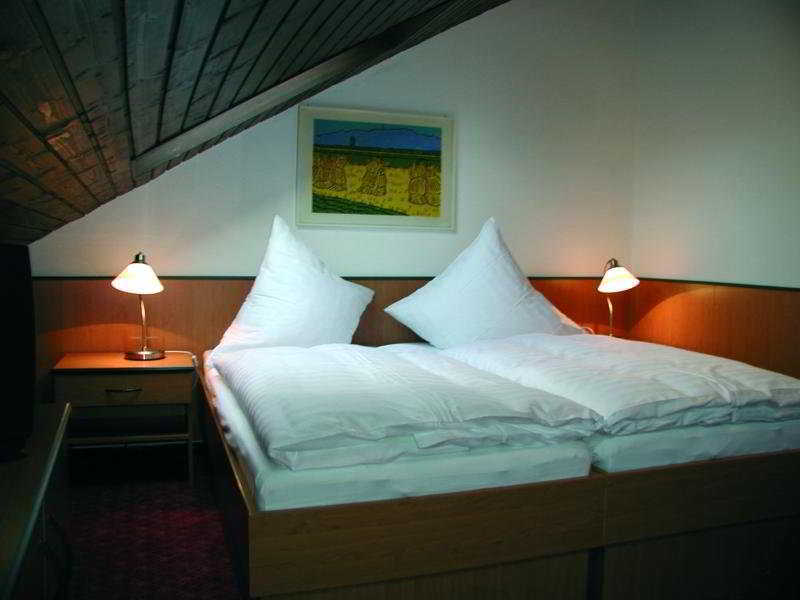 Hotel Traube Offenburg Zewnętrze zdjęcie